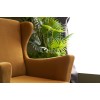 Atelier del Sofa Wing Chair Lola Berjer - Gold Gold