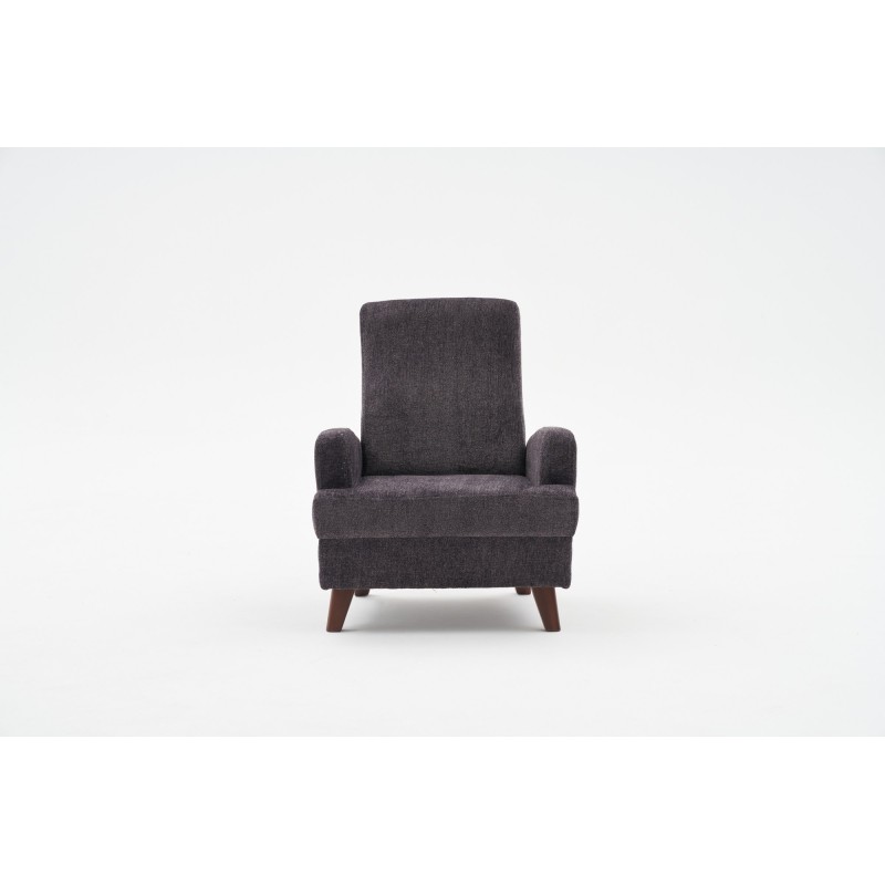 Wing Chair Kana - Anthracite Anthracite