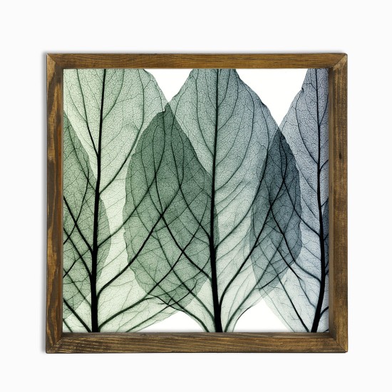 Wallxpert Decorative Framed MDF Painting MZM529 Multicolor
