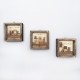 Wallxpert Decorative Framed MDF Painting (3 Pieces) UKZM004 Multicolor
