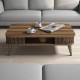 Coffee Table Eylül - Walnut Walnut Coffee Table Eylül - Walnut Walnut