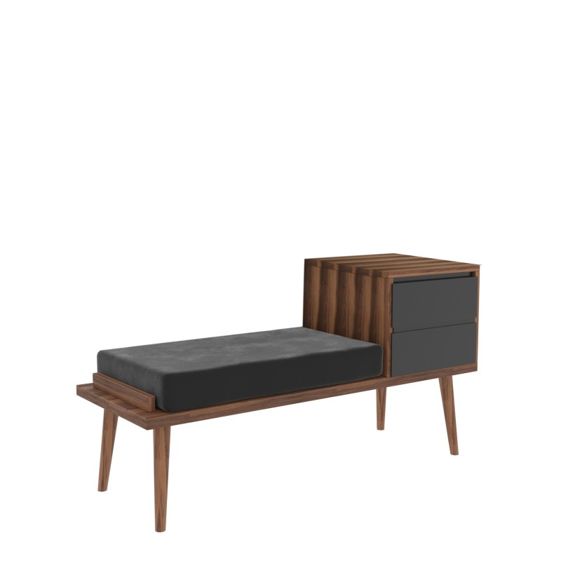 Έπιπλο Εισόδου - Fiume Χρώμα Καρυδί Ανθρακί - 120x45x40εκ