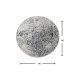 Carpet (140 cm) Evidence Multicolor Conceptum Hypnose Carpet (140 cm) Evidence Multicolor