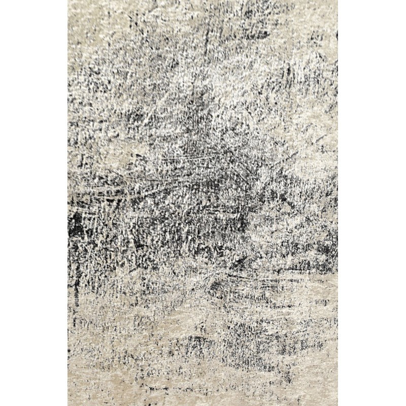 Hall Carpet (80 x 150) Evidence Multicolor