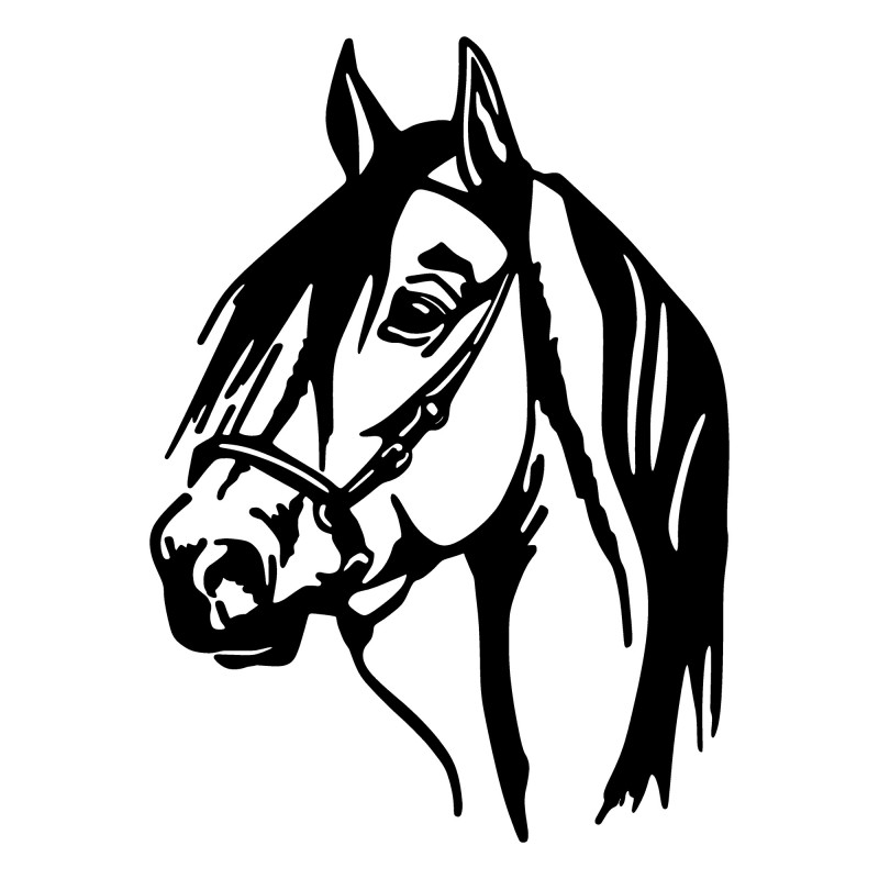 Wallxpert Decorative Metal Wall Accessory Horse Head Black