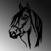 Wallxpert Decorative Metal Wall Accessory Horse Head Black