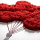 Decorative Metal Wall Accessory Banksy - 11-1 Red
Black Wallxpert Decorative Metal Wall Accessory Banksy - 11-1 Red
Black