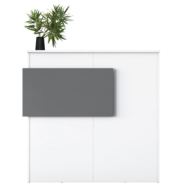 Ρεσεψιόν MA102 - 2929 Χρώμα Λευκό με  Ανθρακί Πάνελ