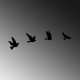 Decorative Metal Wall Accessory Pigeons - 289 Black Decorative Metal Wall Accessory Pigeons - 289 Black