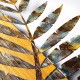Decorative Wooden Wall Accessory Leaf 3-1 Multicolor Decorative Wooden Wall Accessory Leaf 3-1 Multicolor
