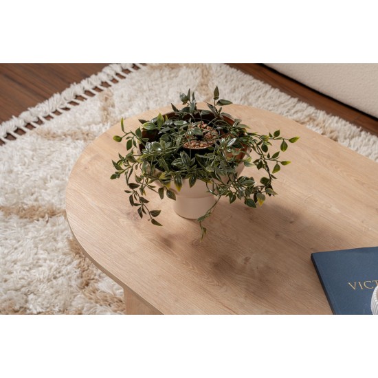 Coffee Table Sable - Sapphire Oak Sapphire Oak