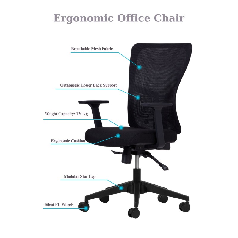 Office Chair Lumbar 108 - Black Black