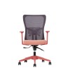 Office Chair Lumbar 108 - Salmon Salmon