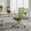 Office Chair Lumbar 108 - Green Green