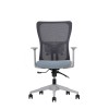 Office Chair Lumbar 108 - Grey Grey