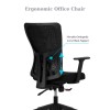 Office Chair Set (2 Pieces) Lumbar 108 - Black Black