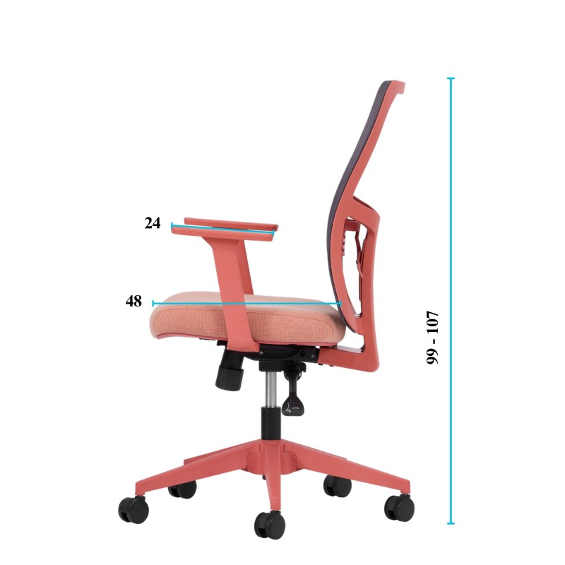 Office Chair Set (2 Pieces) Lumbar 108 - Salmon Salmon