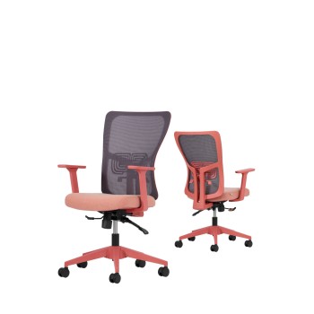 Office Chair Set (2 Pieces) Lumbar 108 - Salmon Salmon