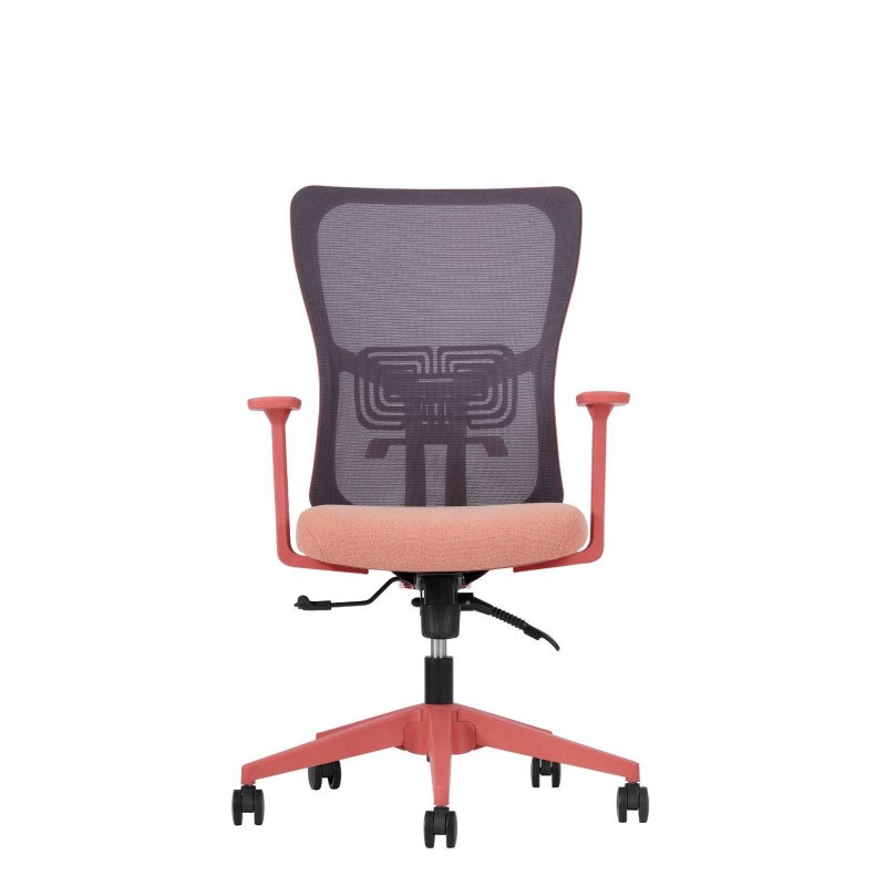 Office Chair Set (2 Pieces) Lumbar 108 - Salmon Salmon