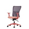 Office Chair Set (2 Pieces) Lumbar 108 - Salmon Salmon