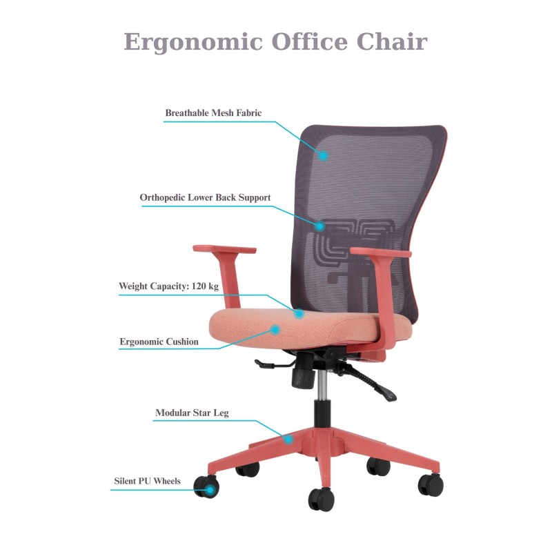 Office Chair Set (2 Pieces) Lumbar 108 - Salmon Salmon