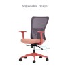 Office Chair Set (2 Pieces) Lumbar 108 - Salmon Salmon