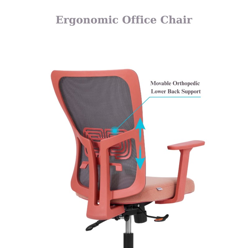 Office Chair Set (2 Pieces) Lumbar 108 - Salmon Salmon