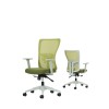 Office Chair Set (2 Pieces) Lumbar 108 - Green Green