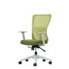 Office Chair Set (2 Pieces) Lumbar 108 - Green Green