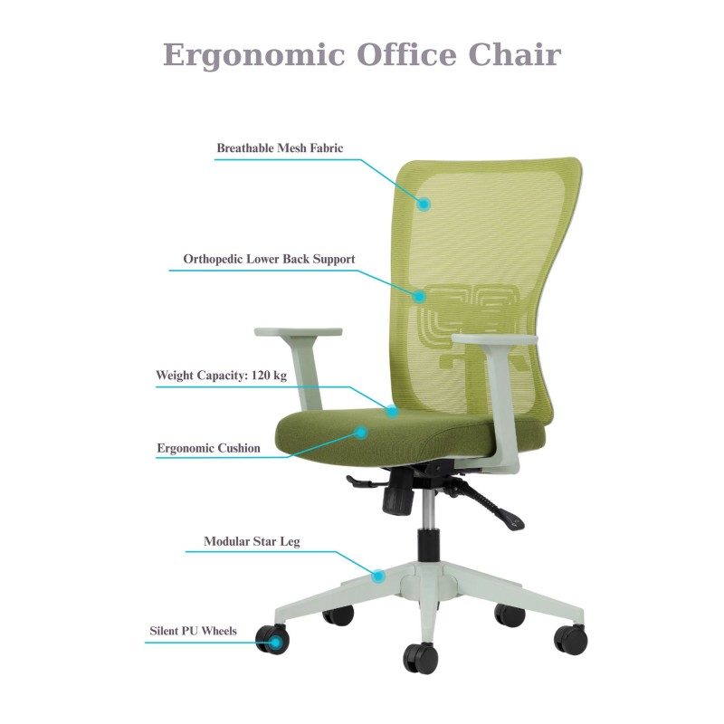 Office Chair Set (2 Pieces) Lumbar 108 - Green Green