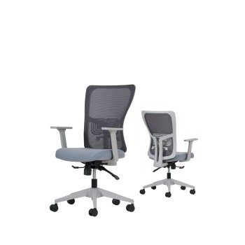 Office Chair Set (2 Pieces) Lumbar 108 - Grey Grey