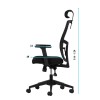 Office Chair Lumbar 126 - Black Black