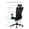 Office Chair Lumbar 126 - Black Black