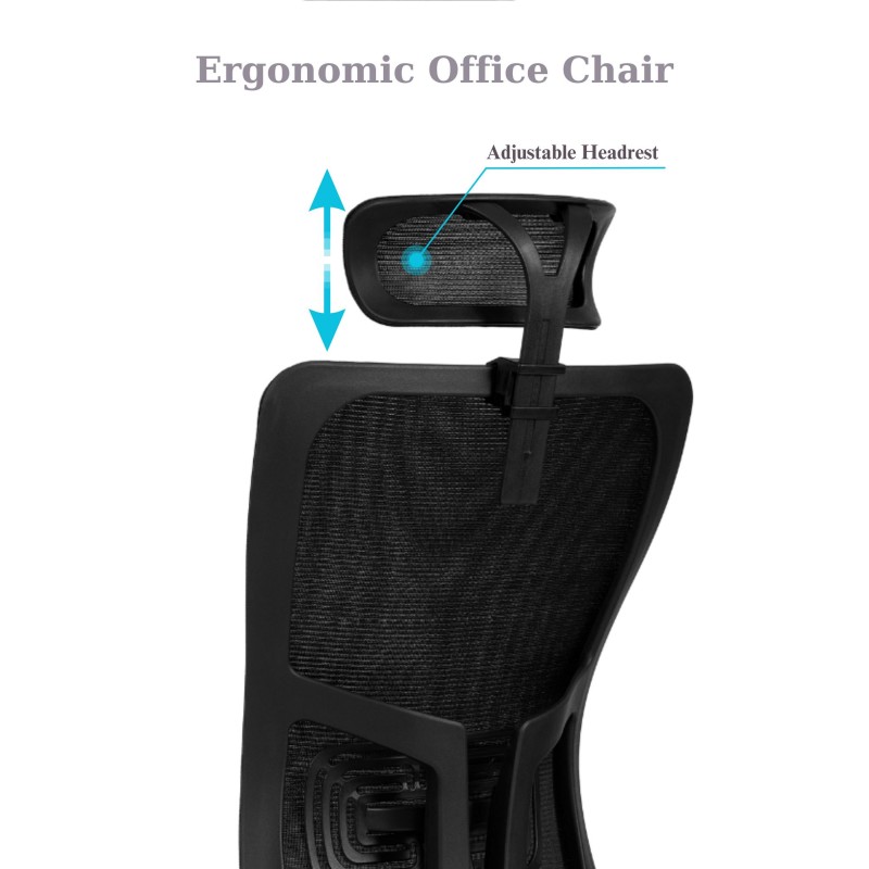 Office Chair Lumbar 126 - Black Black