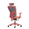 Office Chair Lumbar 126 - Salmon Salmon