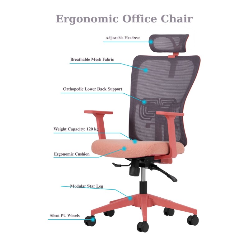 Office Chair Lumbar 126 - Salmon Salmon