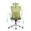Office Chair Lumbar 126 - Green Green