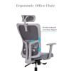 Office Chair Lumbar 126 - Grey Grey