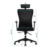 Office Chair Set (2 Pieces) Lumbar 126 - Black Black