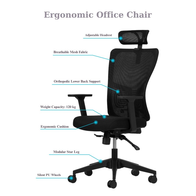 Office Chair Set (2 Pieces) Lumbar 126 - Black Black