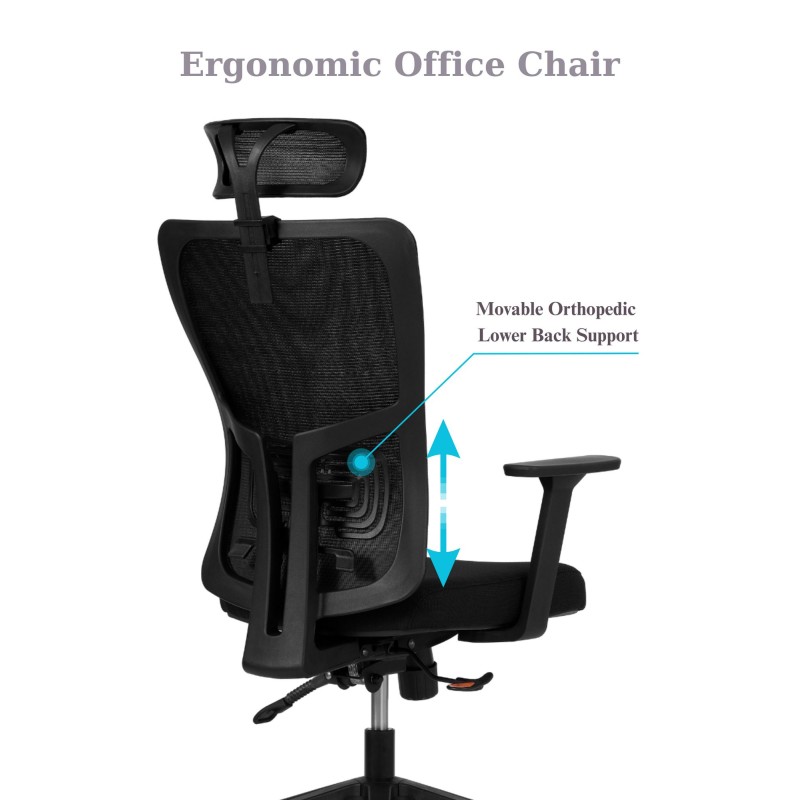 Office Chair Set (2 Pieces) Lumbar 126 - Black Black