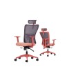 Office Chair Set (2 Pieces) Lumbar 126 - Salmon Salmon