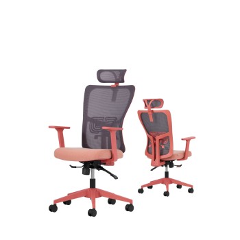 Office Chair Set (2 Pieces) Lumbar 126 - Salmon Salmon
