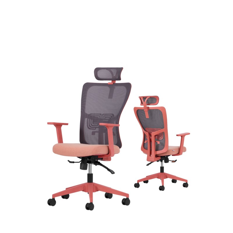 Office Chair Set (2 Pieces) Lumbar 126 - Salmon Salmon