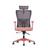 Office Chair Set (2 Pieces) Lumbar 126 - Salmon Salmon