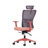 Office Chair Set (2 Pieces) Lumbar 126 - Salmon Salmon