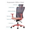 Office Chair Set (2 Pieces) Lumbar 126 - Salmon Salmon