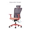 Office Chair Set (2 Pieces) Lumbar 126 - Salmon Salmon