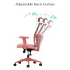Office Chair Set (2 Pieces) Lumbar 126 - Salmon Salmon