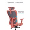 Office Chair Set (2 Pieces) Lumbar 126 - Salmon Salmon